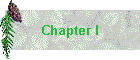 Chapter I