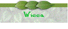 Wicca